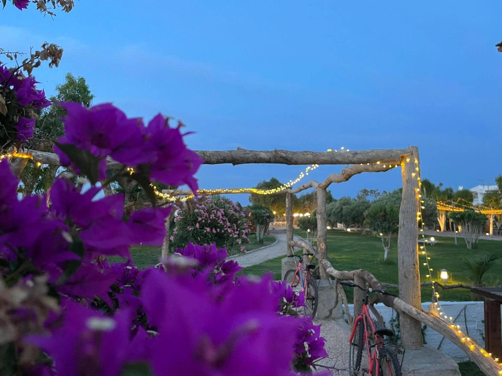 Villa Eco Beachfront Gennadi