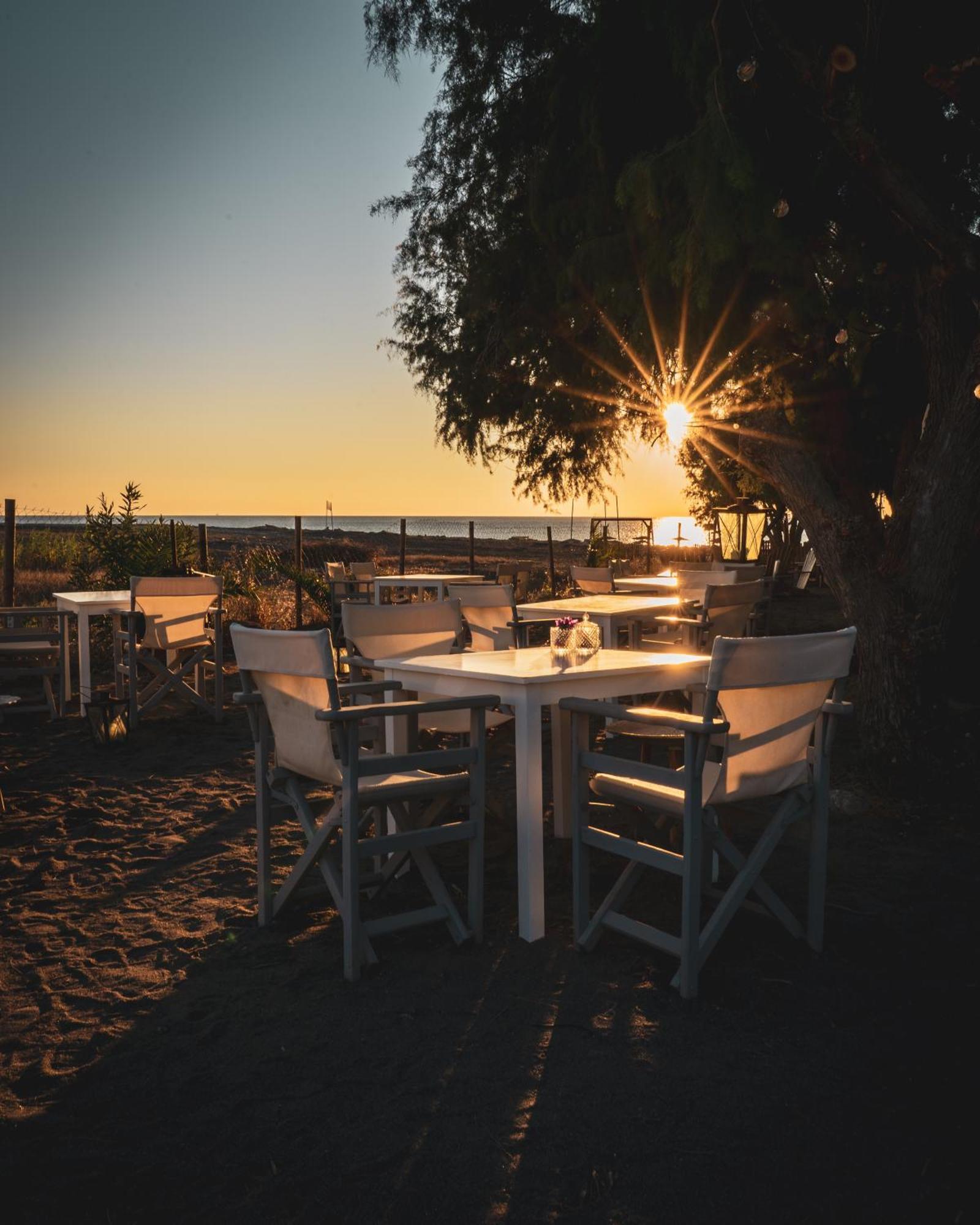 Vilă Eco Beachfront *